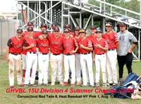 CT Red Tails vs. Heat Baseball NY Pink (GHVBL 15U Division 4 Final), 8-7-2021